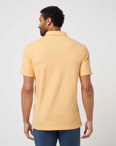 ONE TIMER POLO Image Thumbnail 2