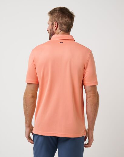 ROAMING ROUTES POLO Image Thumbnail 2