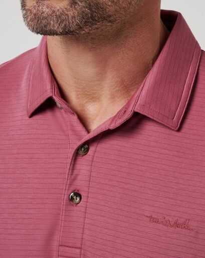 THE ZINNA 2.0 POLO Image Thumbnail 3